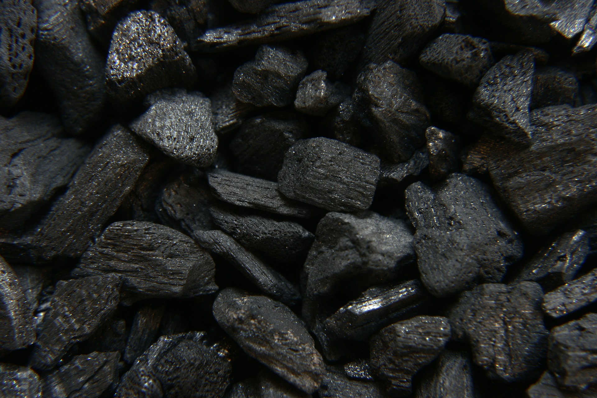 Exportamos Carbón Vegetal